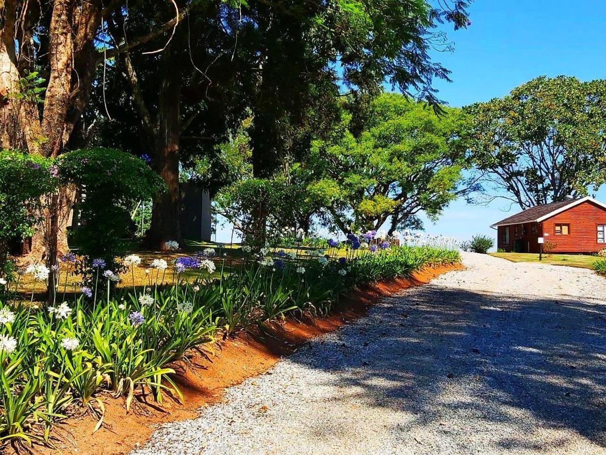 Forest View Cabins Tzaneen Extérieur photo