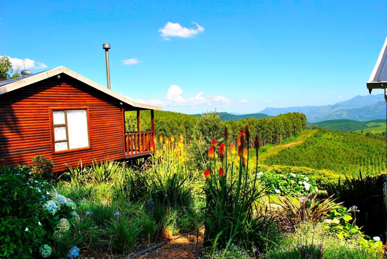 Forest View Cabins Tzaneen Extérieur photo