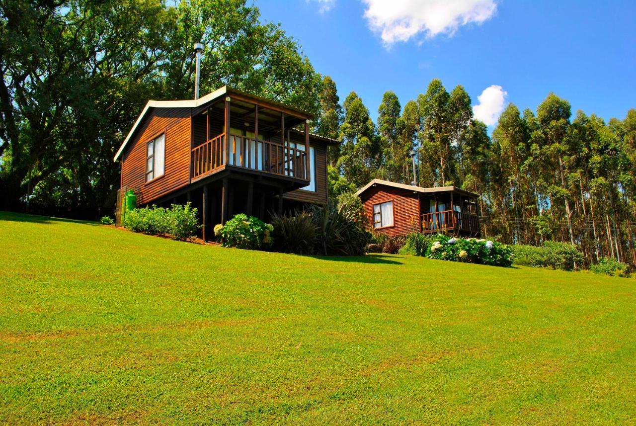Forest View Cabins Tzaneen Extérieur photo