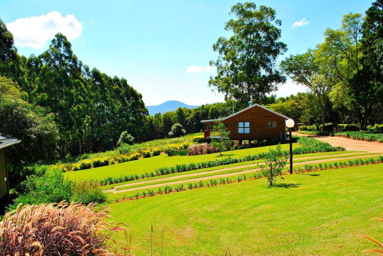 Forest View Cabins Tzaneen Extérieur photo