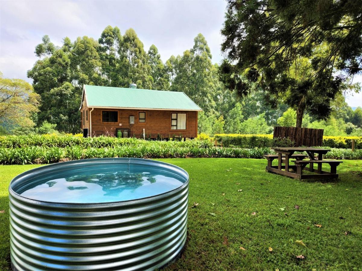 Forest View Cabins Tzaneen Extérieur photo